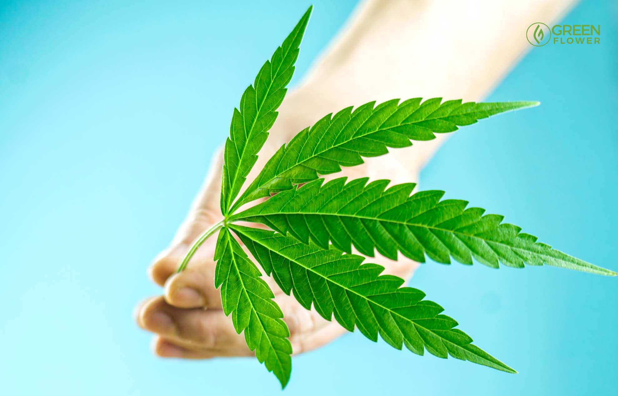 5 Ways to End the Stigma Around Cannabis | Green Flower News