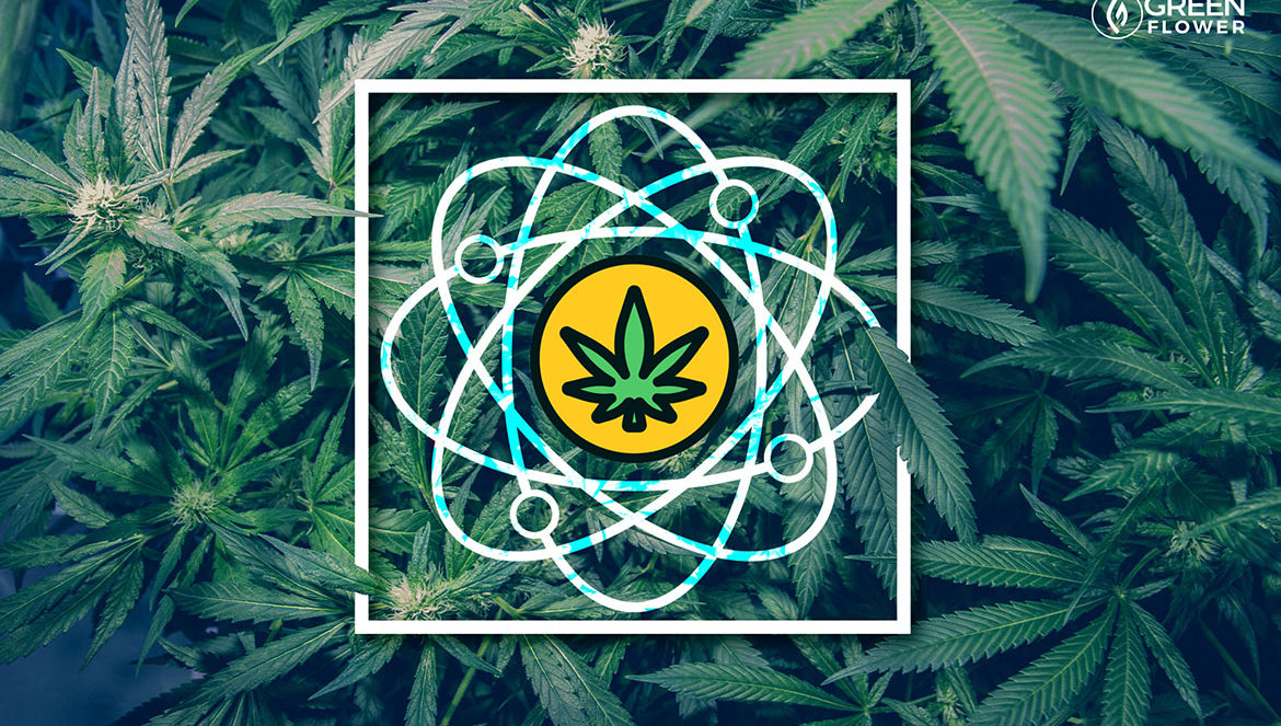 cannabis leaves and entourage effect graphic